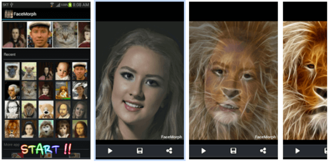 face morphing app