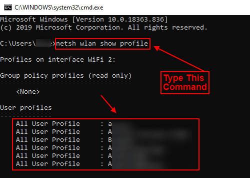 type netsh wlan show profiles command