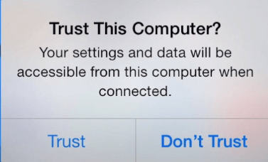 now accept prompt trust this computer