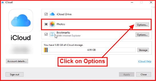 after icloud login open photos options