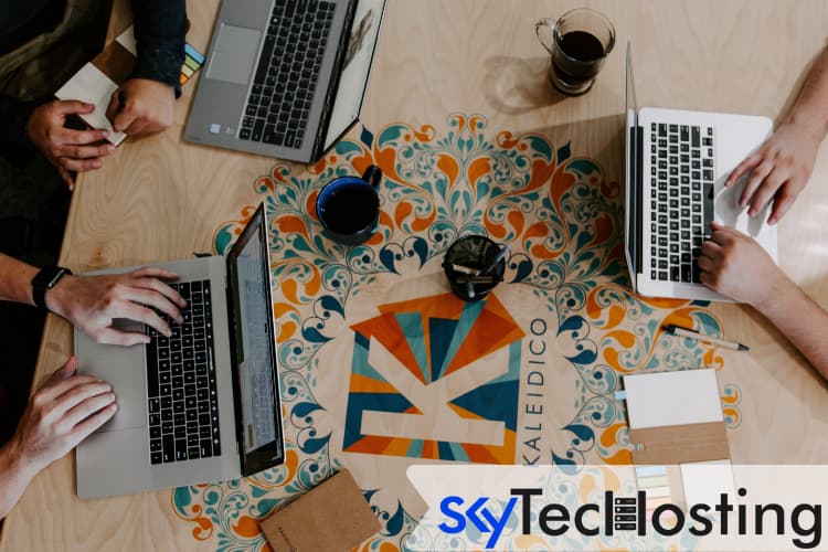 Seo team help to rank a website