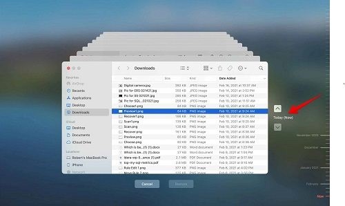 Download Files