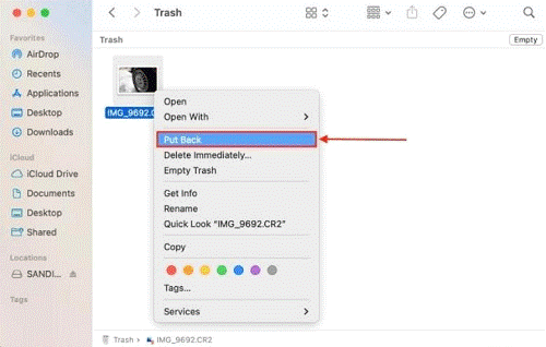 Put Back- trash file